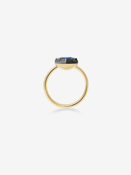 2.69ct Heart-Shaped Sapphire Button Back Ring View 4